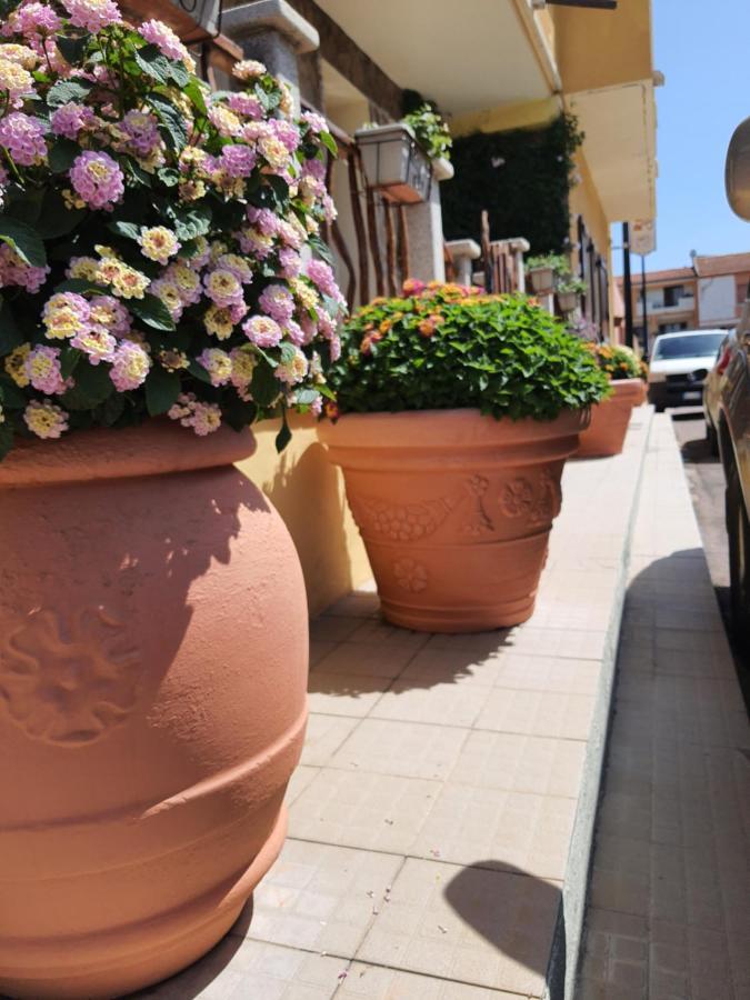 Al Pez Exclusive Rooms Olbia Eksteriør billede