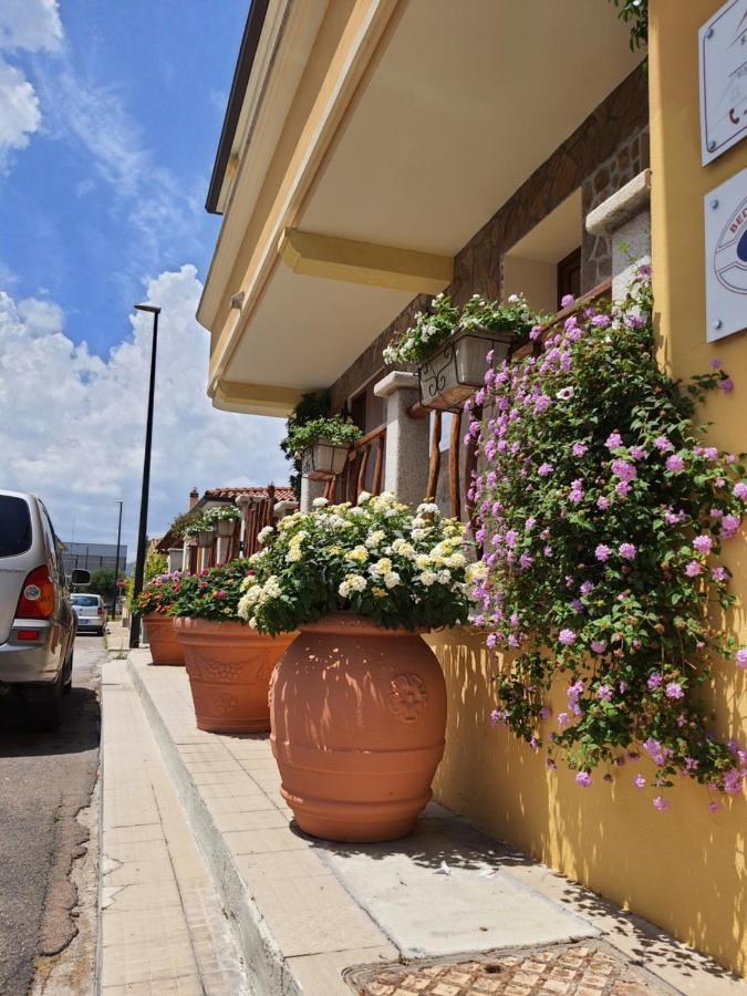Al Pez Exclusive Rooms Olbia Eksteriør billede