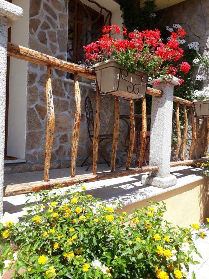 Al Pez Exclusive Rooms Olbia Eksteriør billede